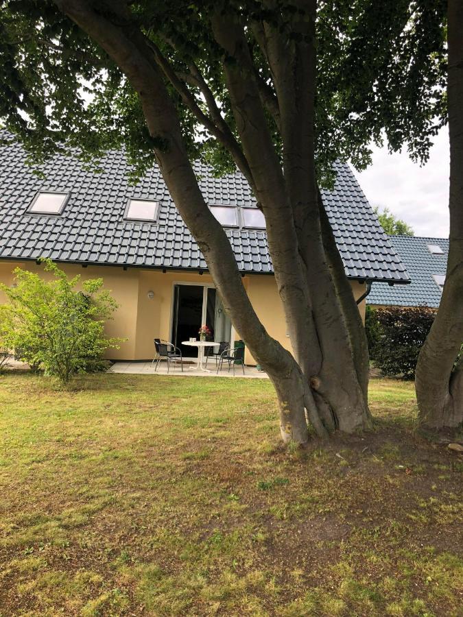 Ferienwohnung 'Bei Den Buchen' Zempin Εξωτερικό φωτογραφία